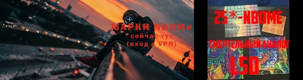 прущий лед Болотное