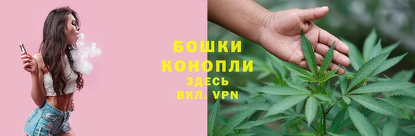 мяу мяу мука Болхов