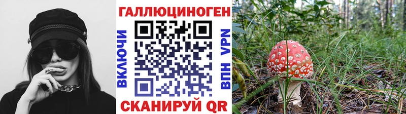 Псилоцибиновые грибы Magic Shrooms  Уварово 